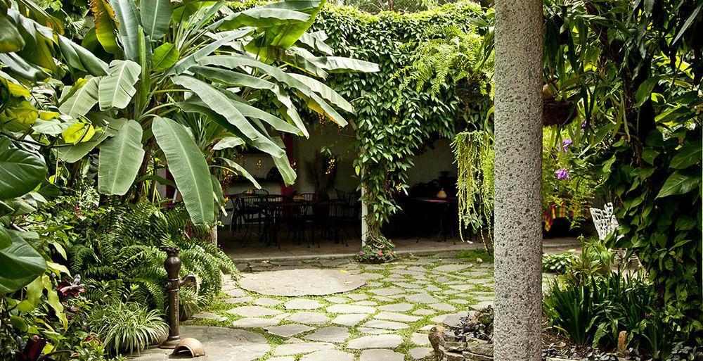 Hotel Arbol de Fuego San Salvador Exterior foto
