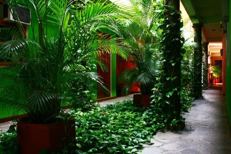 Hotel Arbol de Fuego San Salvador Exterior foto